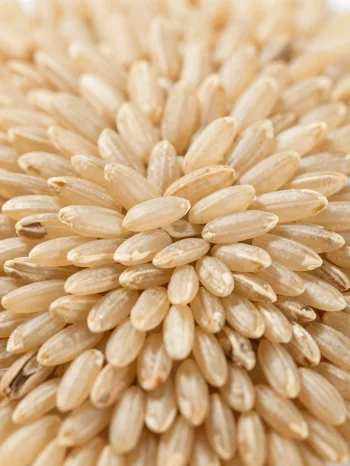 Zrna sirove smeđe riže u rustikalnoj zdjeli na kuhinjskom pultu