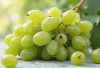 Svježi grozdovi bijelog i crnog grožđa na drvenom stolu uz čašu soka